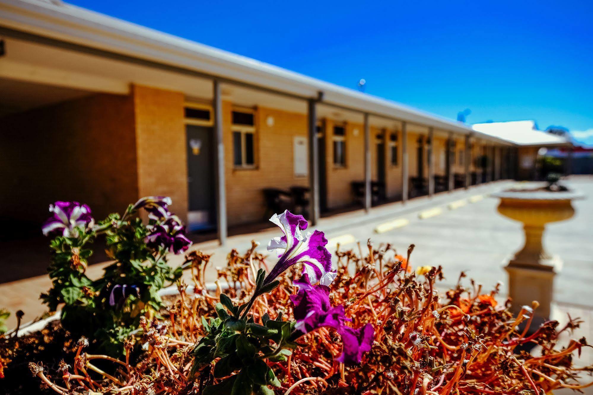 Club Motor Inn Narrabri Kültér fotó